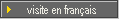 visite en fran&ccedil;ais